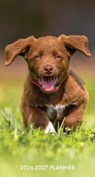 Puppy Love 2-Year 2026-27 3.5 X 6.5 Monthly Pocket Planner - Willow Creek Press - 9781549256622
