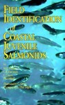 Field Identification of Coastal Juvenile Salmonids - W.R. Pollard ; G.F. Hartman ; C. Groot ; Phil Edgell - 9781550171679