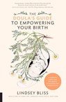 The Doula's Guide to Empowering Your Birth - Lindsey Bliss - 9781558328952