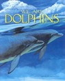 We are Dolphins - GROOMS,  Molly - 9781559718141