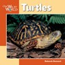 Turtles - DENNARD,  Deborah - 9781559718622