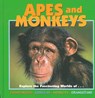 Apes and Monkeys - DENNARD,  Deborah - 9781559718639