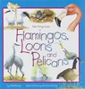 Flamingos, Loons & Pelicans - BORING,  Mel - 9781559719421
