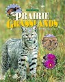 Prairie Grasslands - LYNCH,  Wayne - 9781559719476