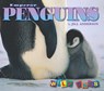 Emperor Penguins - ANDERSON,  Jill - 9781559719728
