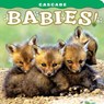 Cascade: Babies! - Tom Leeson - 9781560373308