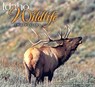 Idaho Wildlife Impressions - William H. Mullins - 9781560374138