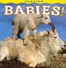 Glacier Babies! - Wendy Shattil - 9781560374985