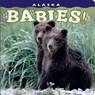 Alaska Babies! - Steven Kazlowski - 9781560375456