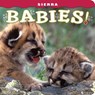 Sierra Babies! - Wendy Shattil - 9781560375579