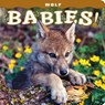 Wolf Babies! - Lisa Husar - 9781560375661