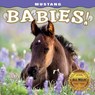 Mustang Babies! - Carol J. Walker - 9781560377276