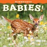 Minnesota Babies! - Farcountry Press - 9781560378792