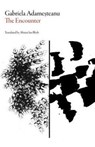 The Encounter - Gabriela Adamesteanu - 9781564789532