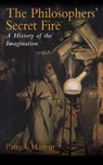 Philosopher's Secret Fire - Patrick Harpur - 9781566634854