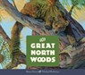 The Great North Woods - Brian Heinz - 9781568462752
