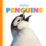 Baby Penguins - Kate Riggs - 9781568464558