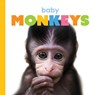 Baby Monkeys - Kate Riggs - 9781568464572