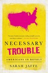 Necessary Trouble - JAFFE,  Sarah - 9781568585369
