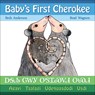 Baby's First Cherokee - Brad Wagnon - 9781570674273