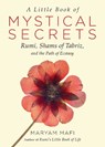 A Little Book of Mystical Secrets - Maryam Mafi - 9781571747457