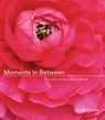 Moments in Between - J David (Kundtz Kundtz - 9781573242769