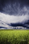 Out of the Storm - ASH,  Christopher - 9781573833875