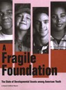 Fragile Foundation - Peter L. Benson ; Peter C. Scales ; Nancy Leffert ; Eugene C. Roehlkepartain - 9781574823523
