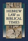 Hebrew Law in Biblical Times - Ze'ev W. Falk - 9781575060514