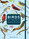 Birds of North America - Editors of Rock Point - 9781577154167