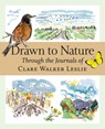 Drawn to Nature - Clare Walker Leslie - 9781580176149
