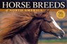 Horse Breeds of North America - Judith Dutson - 9781580176507
