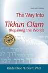 Way into Tikkun Olam - Elliot N. Dorff - 9781580233286