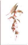 Speaking Animate - QUASHA,  George - 9781581771367