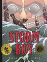 Storm Boy - Owen Paul Lewis - 9781582460574