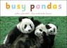 Busy Pandas - John Schindel - 9781582462592