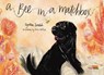 A Bee in a Matchbox - Cynthia Zordich - 9781582709765