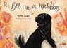 A Bee in a Matchbox - Cynthia (Cynthia Zordich) Zordich - 9781582709772