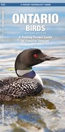 Ontario Birds, 2nd Ed - James Kavanagh - 9781583552827