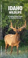 Idaho Wildlife - James Kavanagh - 9781583556269