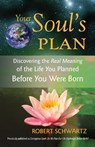 Your Soul's Plan - Robert Schwartz - 9781583942727