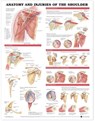 Anatomy and Injuries of the Shoulder Anatomical Chart -  - 9781587798085