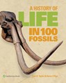 A History of Life in 100 Fossils - Paul D. Taylor - 9781588347701
