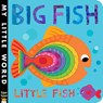 Big Fish Little Fish - Jonathan Litton ; Fhiona Galloway - 9781589252158