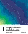The Esri Guide to GIS Analysis, Volume 1 - Andy Mitchell - 9781589485792