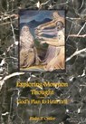 Exploring Mormon Thought - Blake T Ostler - 9781589581913
