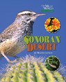 The Sonoran Desert - Wayne Lynch - 9781589793897