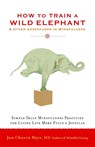 How to Train a Wild Elephant - Jan Chozen Bays - 9781590308172