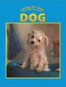 Dog - FORAN,  Jill - 9781590360637