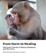 From Harm to Healing - Ruth Montiel (Ruth Montiel Arias) Arias ; Liz (Liz Tyson) Tyson - 9781590567326